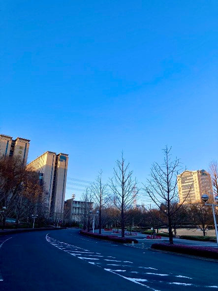 February 2023, Tokyo Hachioji, Soka University Landscape