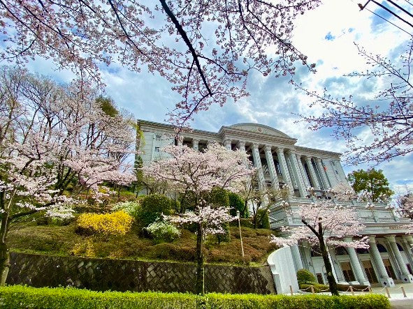 sgi soka gakkai kongodo April 2023: Cherry blossoms in full bloom